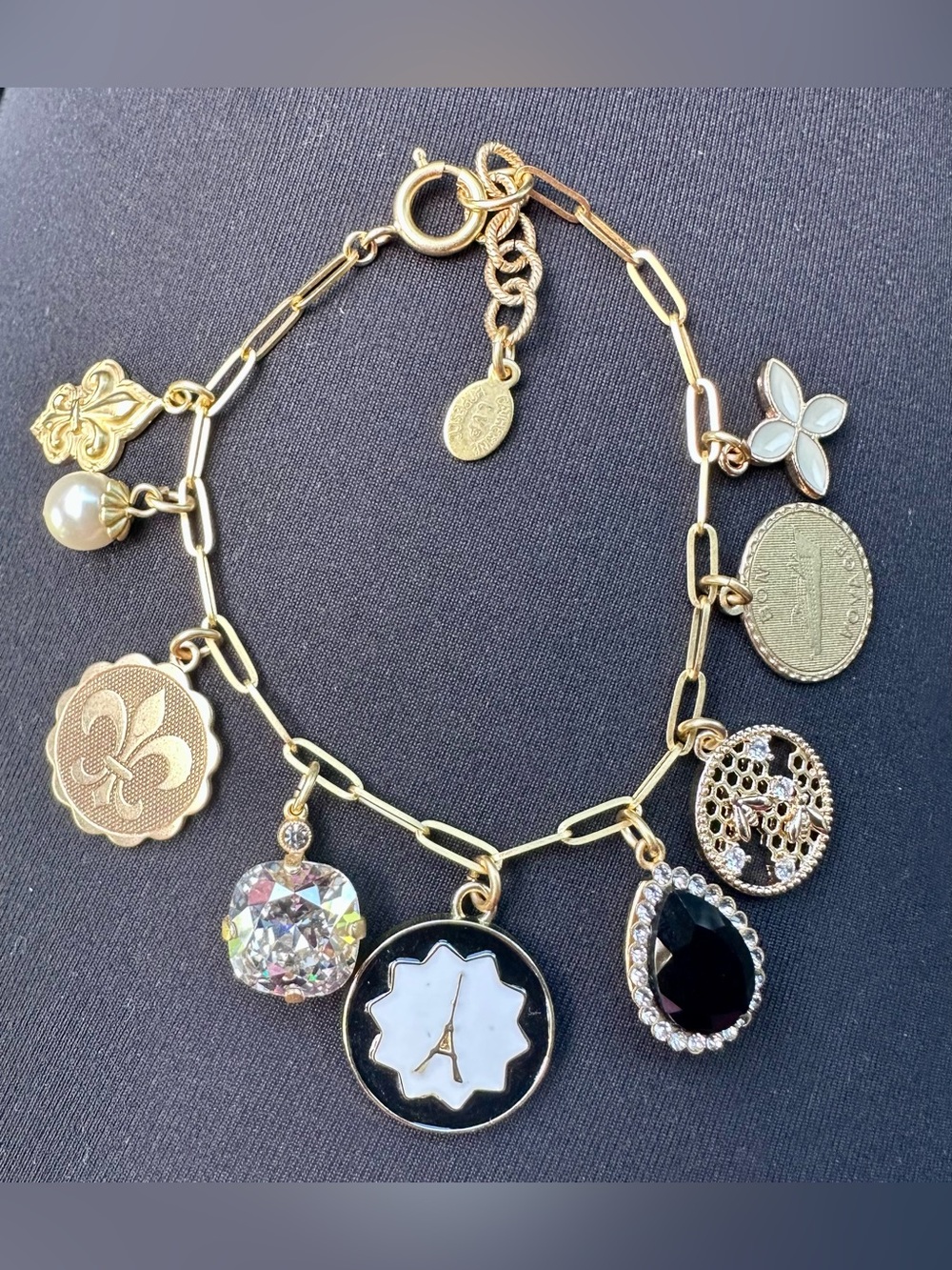 Brand New Catherine Popesco Charm Bracelet
